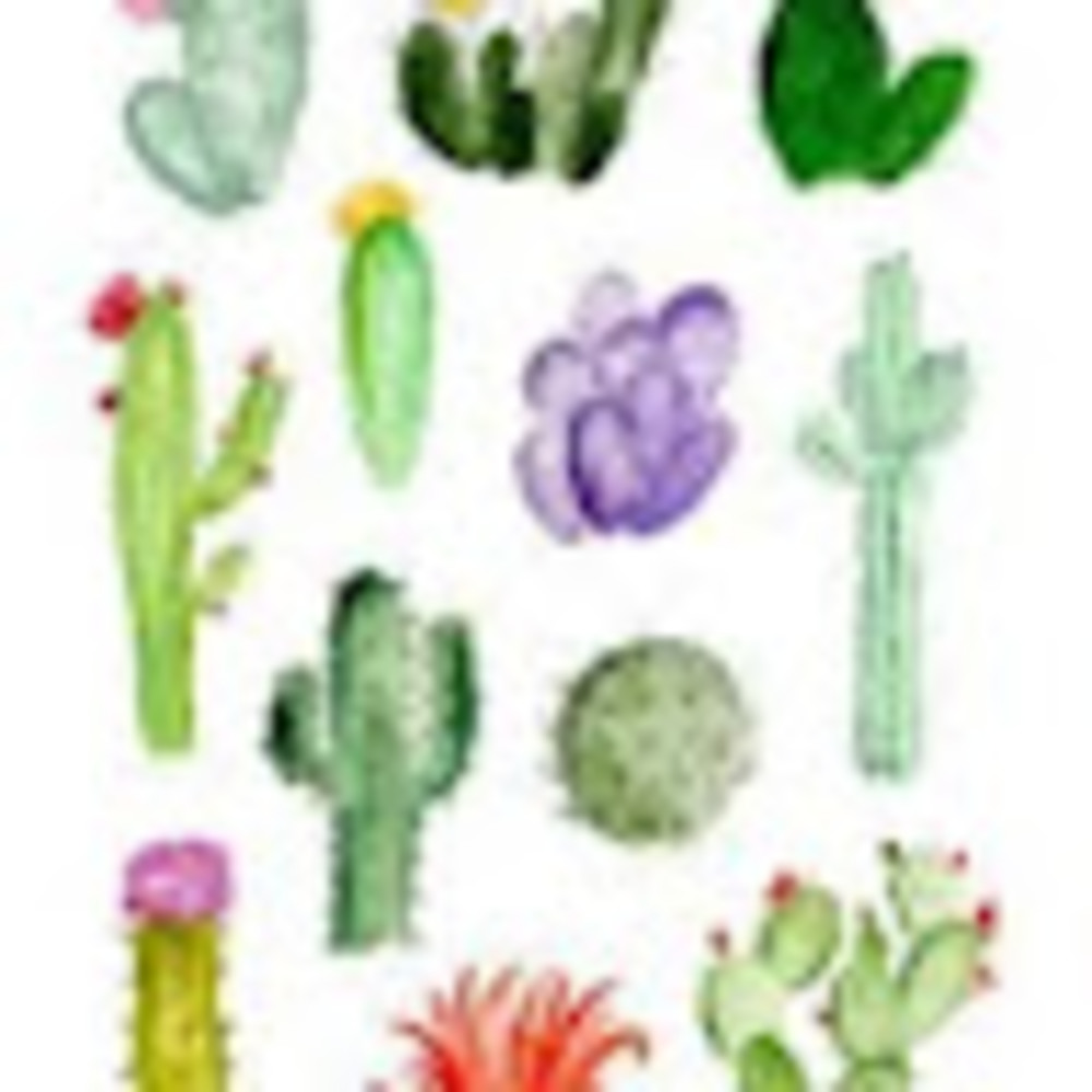 Meet your Posher, Cactus